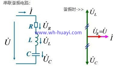 1607070215454284.jpg 1QT953W-0_看图王.jpg